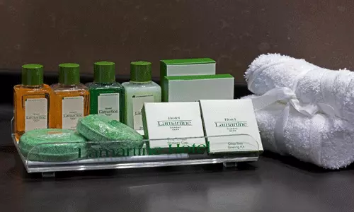 هتل لامارتین استانبول هتل لامارتین استانبول